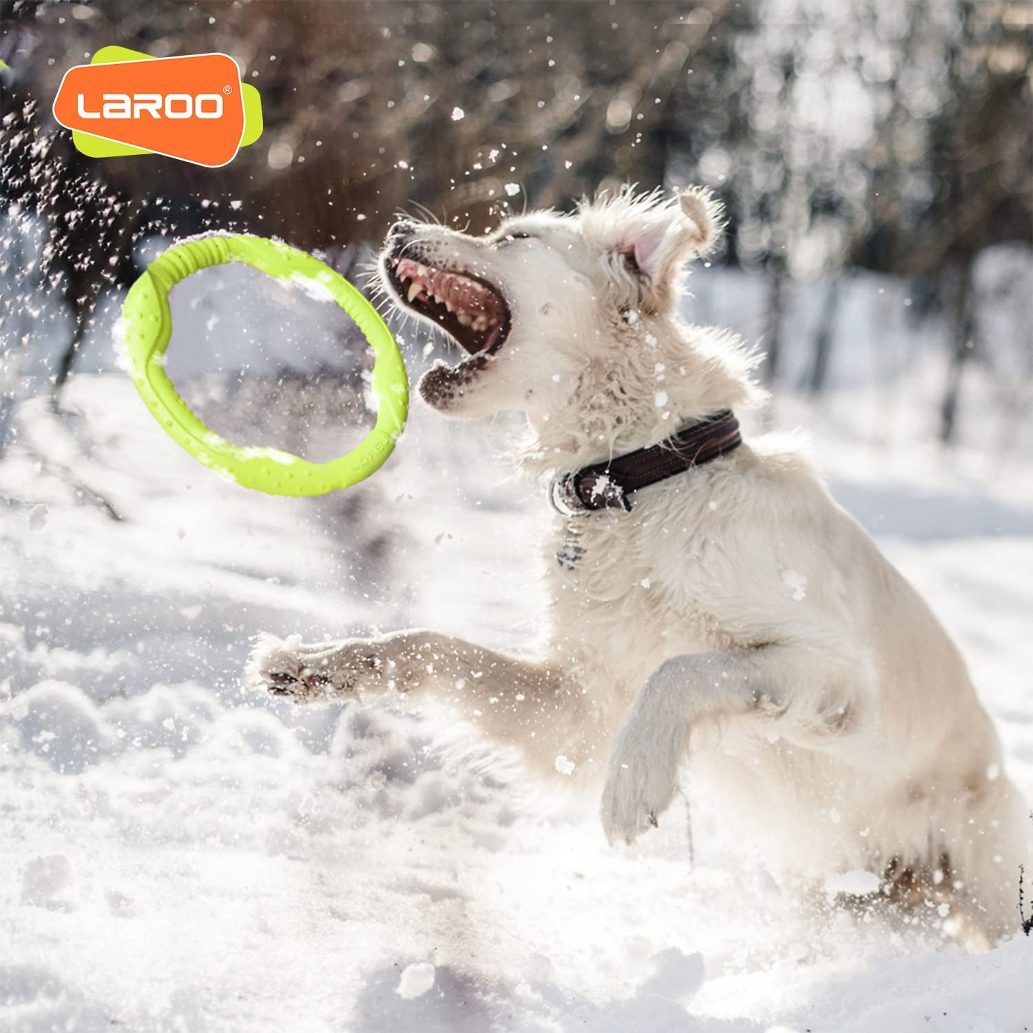Dog Ring Toy - Durable Flying Ring for Fetch, Water Play & Training | Tough Chew-Proof Design for Aggressive Chewer Breeds, Easy-Throw Lightweight Frisbee for Medium/Large Dogs(Green/30Cm)